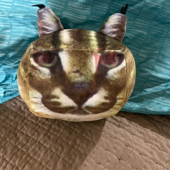 Roblox raise a Floppa cat . - Picture 4 of 11